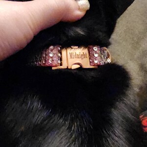 Cookie added a photo of their purchase