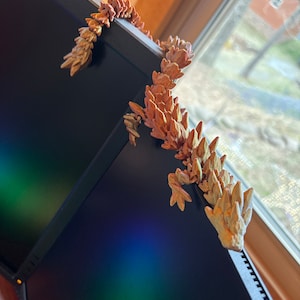 Heather added a photo of their purchase