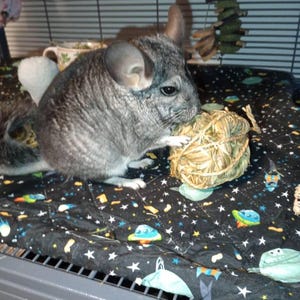 Erica added a photo of their purchase
