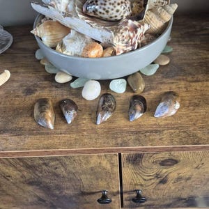 David added a photo of their purchase