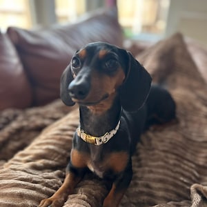 Haley ha añadido una foto de su compra