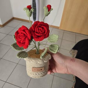 Erin added a photo of their purchase