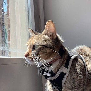 AstroGummi added a photo of their purchase