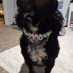 Stephie heeft een foto van zijn/haar aankoop toegevoegd