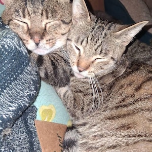 DON added a photo of their purchase