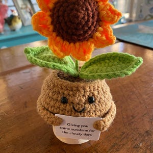 Cute 3PCS Plants,Thank You For Helping Me Grow,Crochet Sunflowers/Hearts/Rose Plants,Emotional Support Crochet,Thank You Gift,Teacher Gift