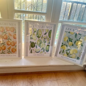 Jean added a photo of their purchase