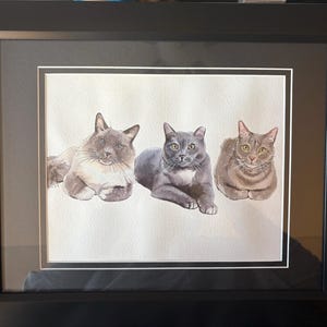 Audrey added a photo of their purchase
