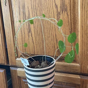 Kate added a photo of their purchase