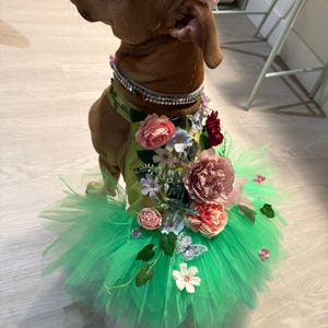 Erika added a photo of their purchase