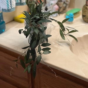 MayBelle's added a photo of their purchase