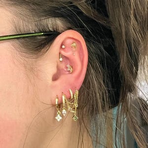 Shelly added a photo of their purchase