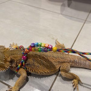 Ivette added a photo of their purchase