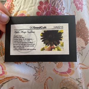 Gabriella added a photo of their purchase