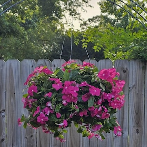 Etsy-koper heeft een foto van zijn/haar aankoop toegevoegd