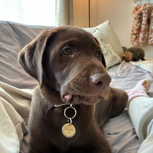 Shelby added a photo of their purchase