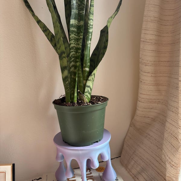 Drip Plant Stand – Modern Indoor Plant Riser, Quirky 3D Printed Decor ...