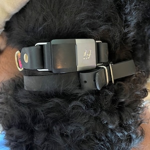 Lisa added a photo of their purchase