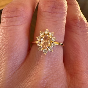 Anne added a photo of their purchase