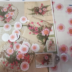Kathleen hat ein Foto des gekauften Artikels hinzugefügt