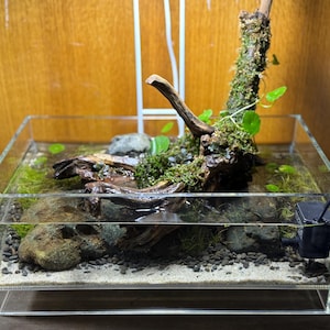 Jonathan added a photo of their purchase