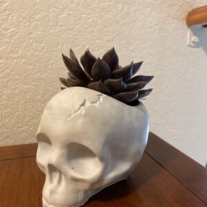 Humberto added a photo of their purchase