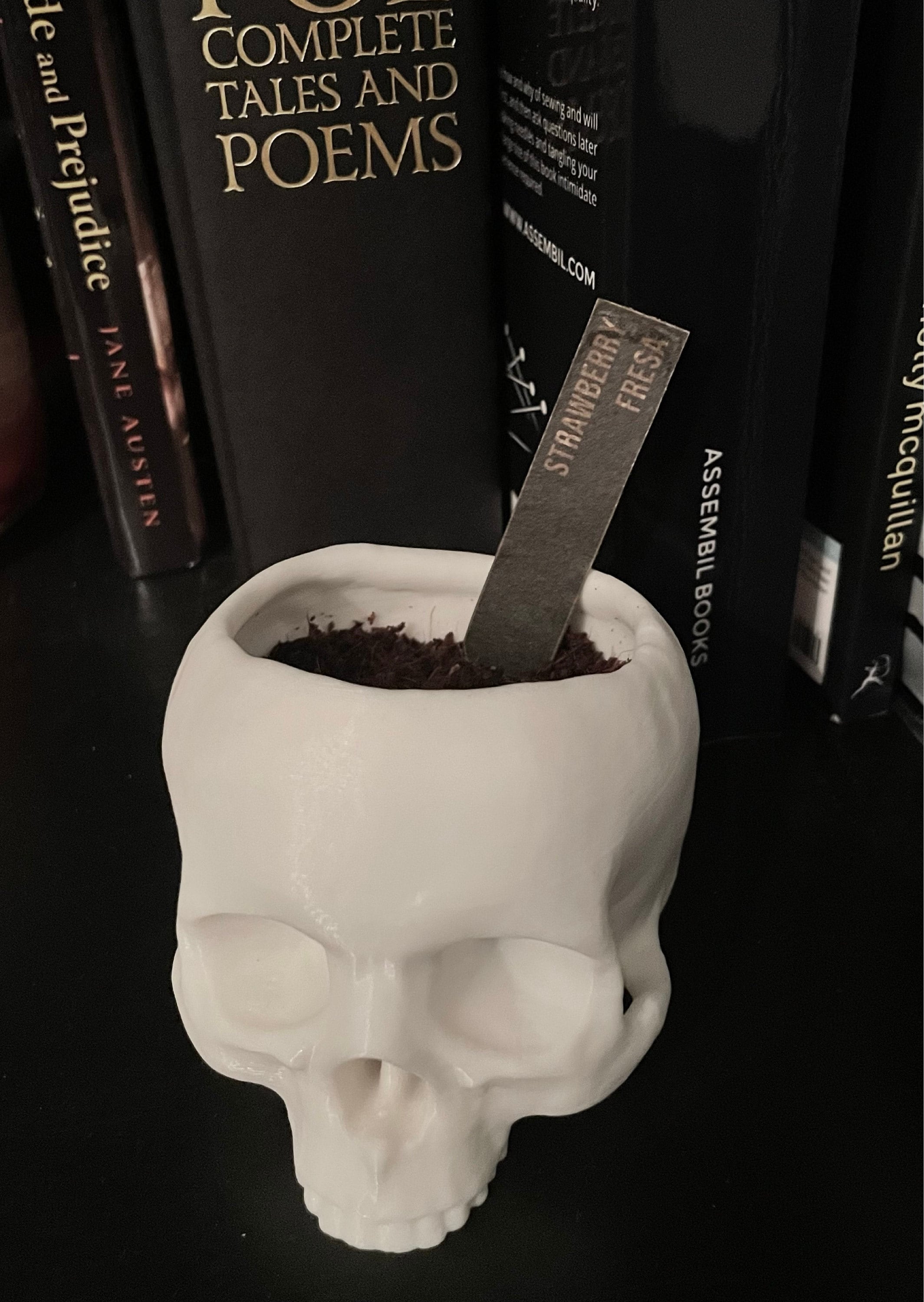 Skull Succulent Planter • Gothic Home Garden Decor • 3D Printed