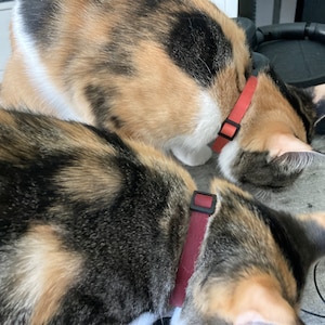 April added a photo of their purchase