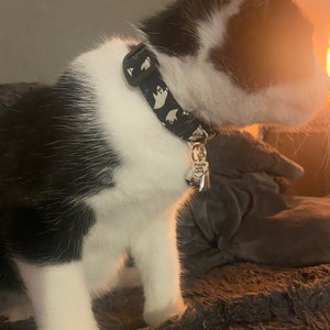 Kennie ha añadido una foto de su compra