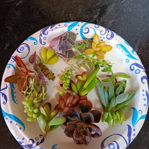 kate added a photo of their purchase