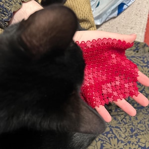 Milana added a photo of their purchase