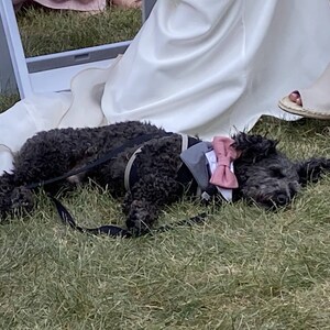 Madison added a photo of their purchase