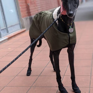 blizzard lurcher coat
