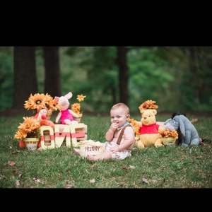 Playful Lions,Handmade Size 00,0 and 1 baby boys Shortalls Baby Boys Overalls