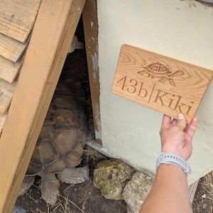 Naoko added a photo of their purchase
