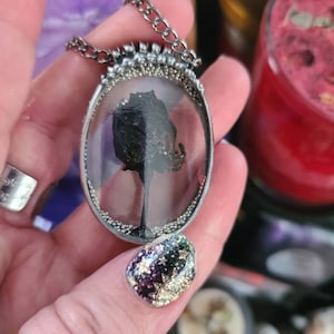 Rebecca added a photo of their purchase