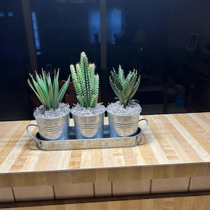 Patricia added a photo of their purchase