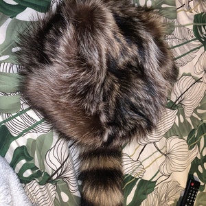 Haley added a photo of their purchase