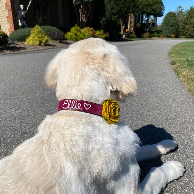 embroiderd dog collar