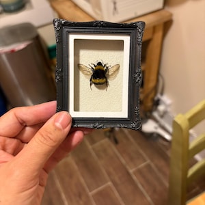Sara added a photo of their purchase