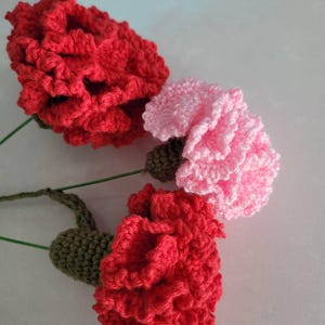 Sue added a photo of their purchase