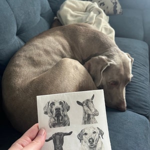 Meghan added a photo of their purchase