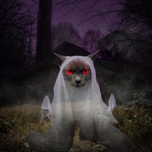 Bad Edit GIFs 👻 Halloween Version 🎃
