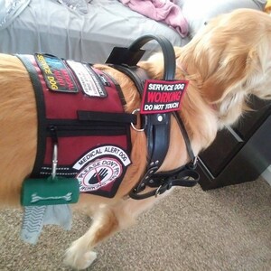 senaxy dog harness