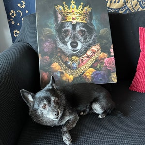 Amber adicionaram uma foto da sua compra
