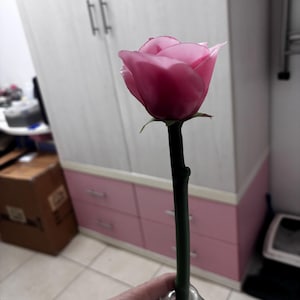 elena heeft een foto van de aankoop toegevoegd