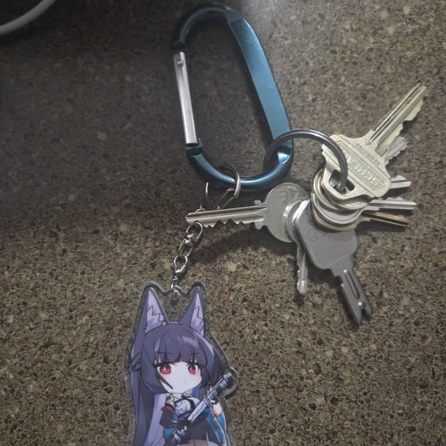 【新品】Chabi ボインキャミ Miyabi Hoshimi Keychain - Zenless Zone Zero Acrylic Charm - Etsy