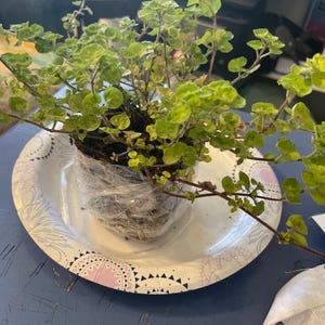 Betty added a photo of their purchase