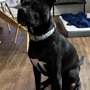 Kristina added a photo of their purchase