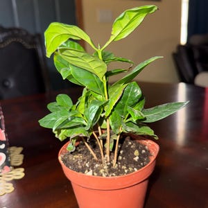 Joanna added a photo of their purchase
